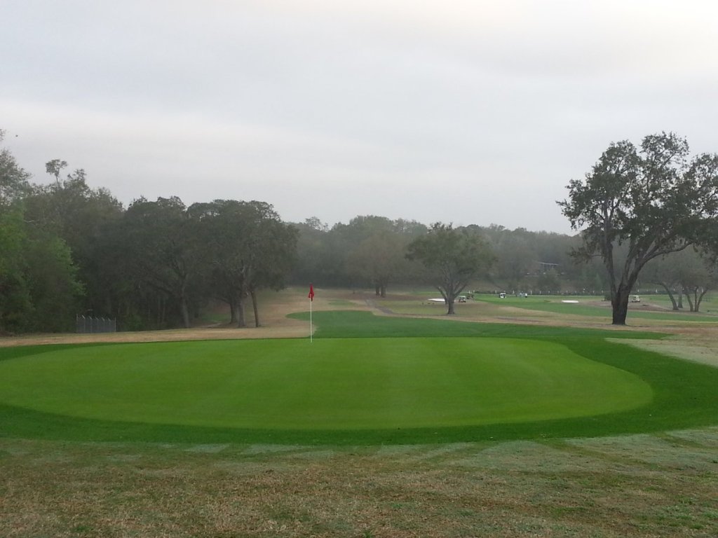 Course green